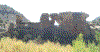 ruins ute 11.gif (84901 bytes)